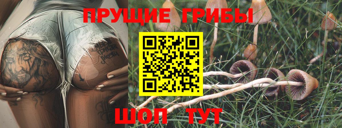 Благодарный  Галлюциногенные грибы мицелий  Вход с VPN 